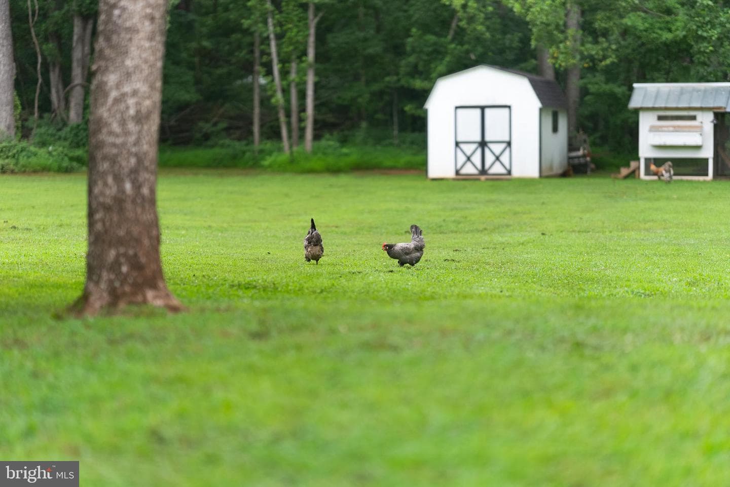 9565 Woodbrook Lane photo 67