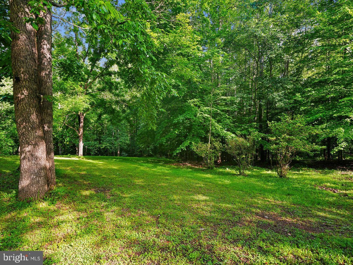 9935 Highland Drive photo 79