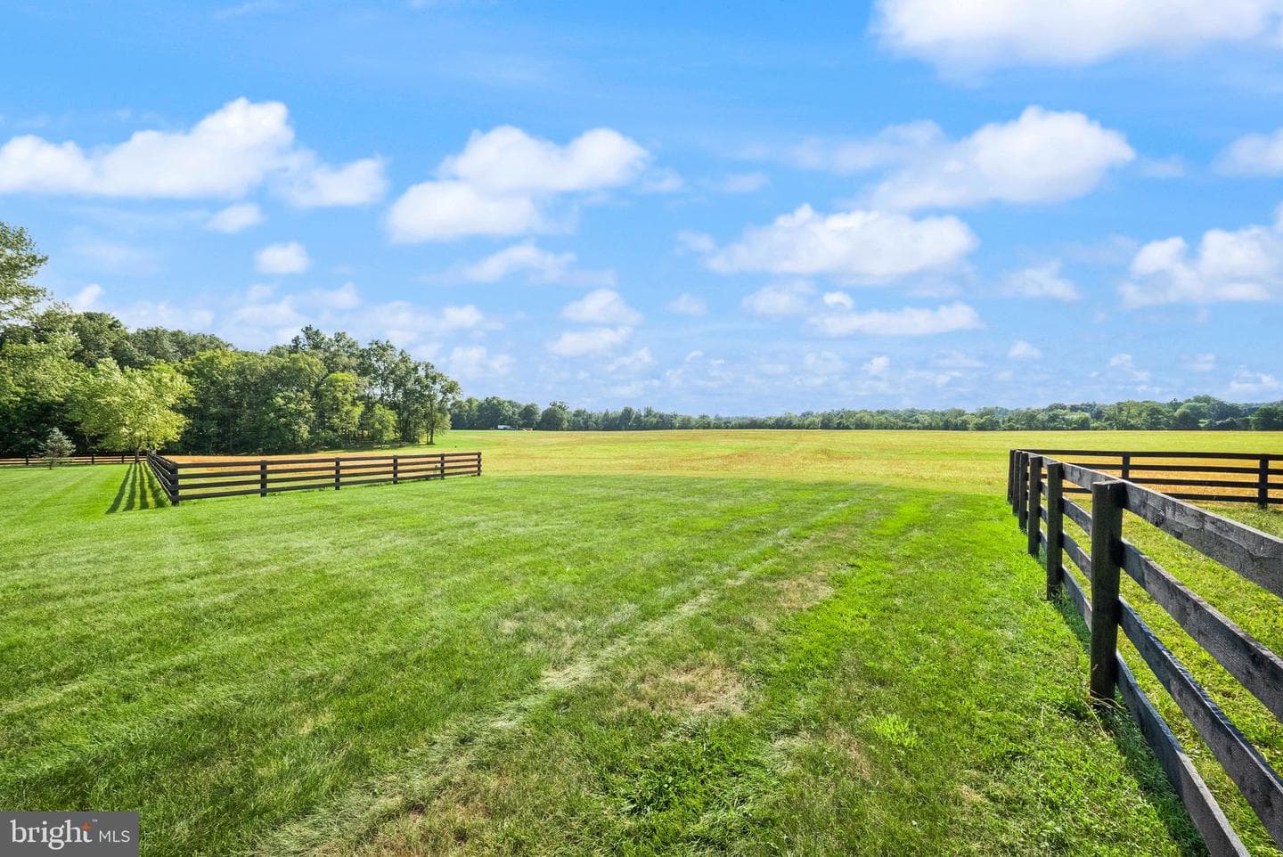 9551 Green Road photo 90