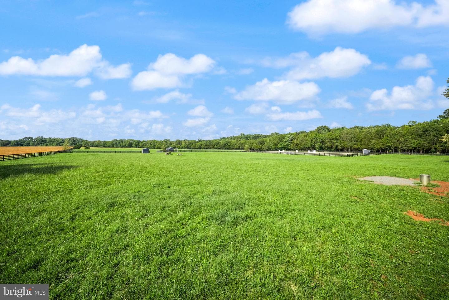 9551 Green Road photo 91