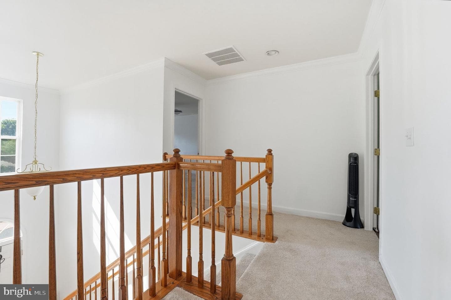 6678 Clarkes Meadow Drive photo 27