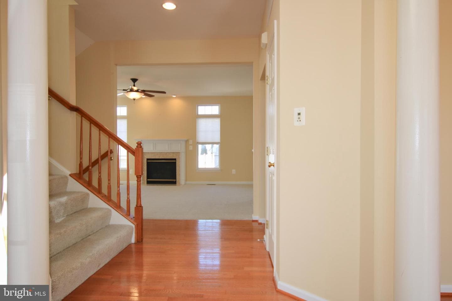 226 Shoe Buckle Court photo 11