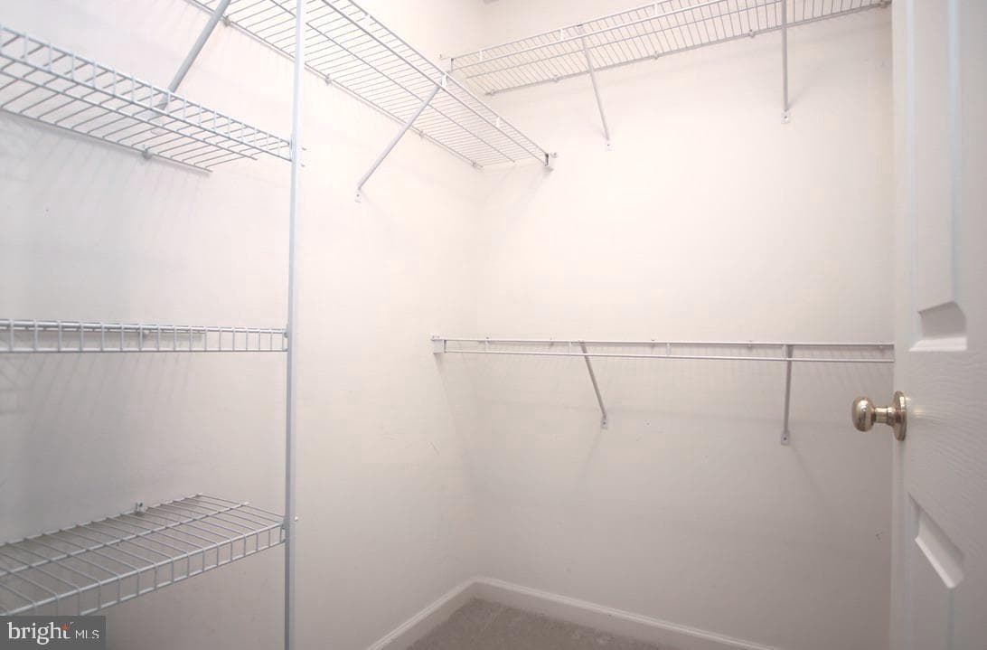 226 Shoe Buckle Court photo 36
