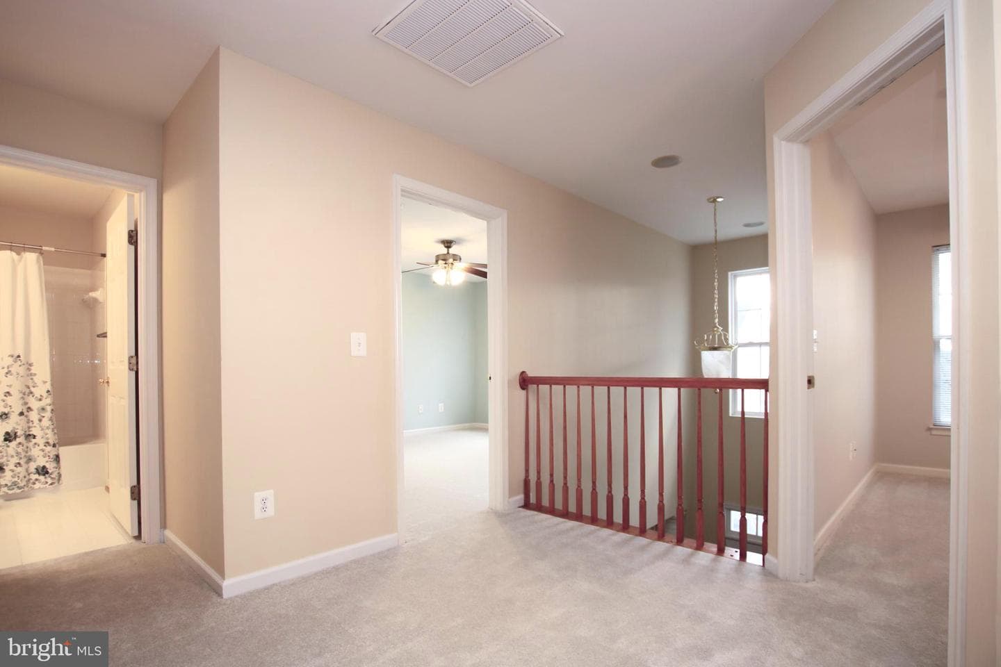 226 Shoe Buckle Court photo 38