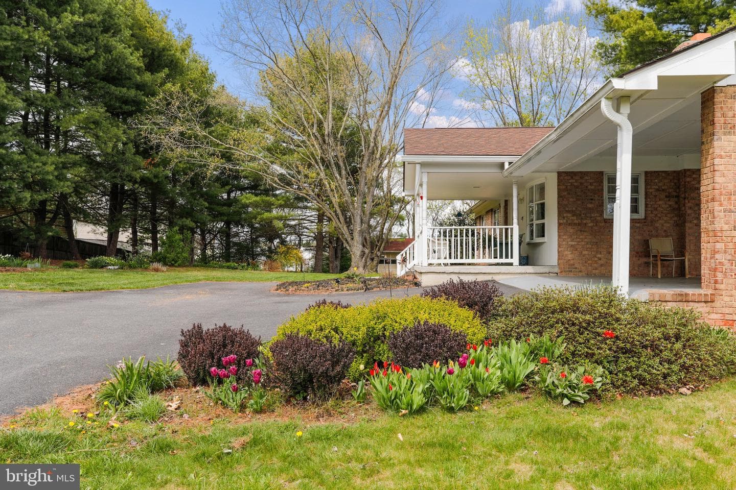 183 Vine Lane photo 3