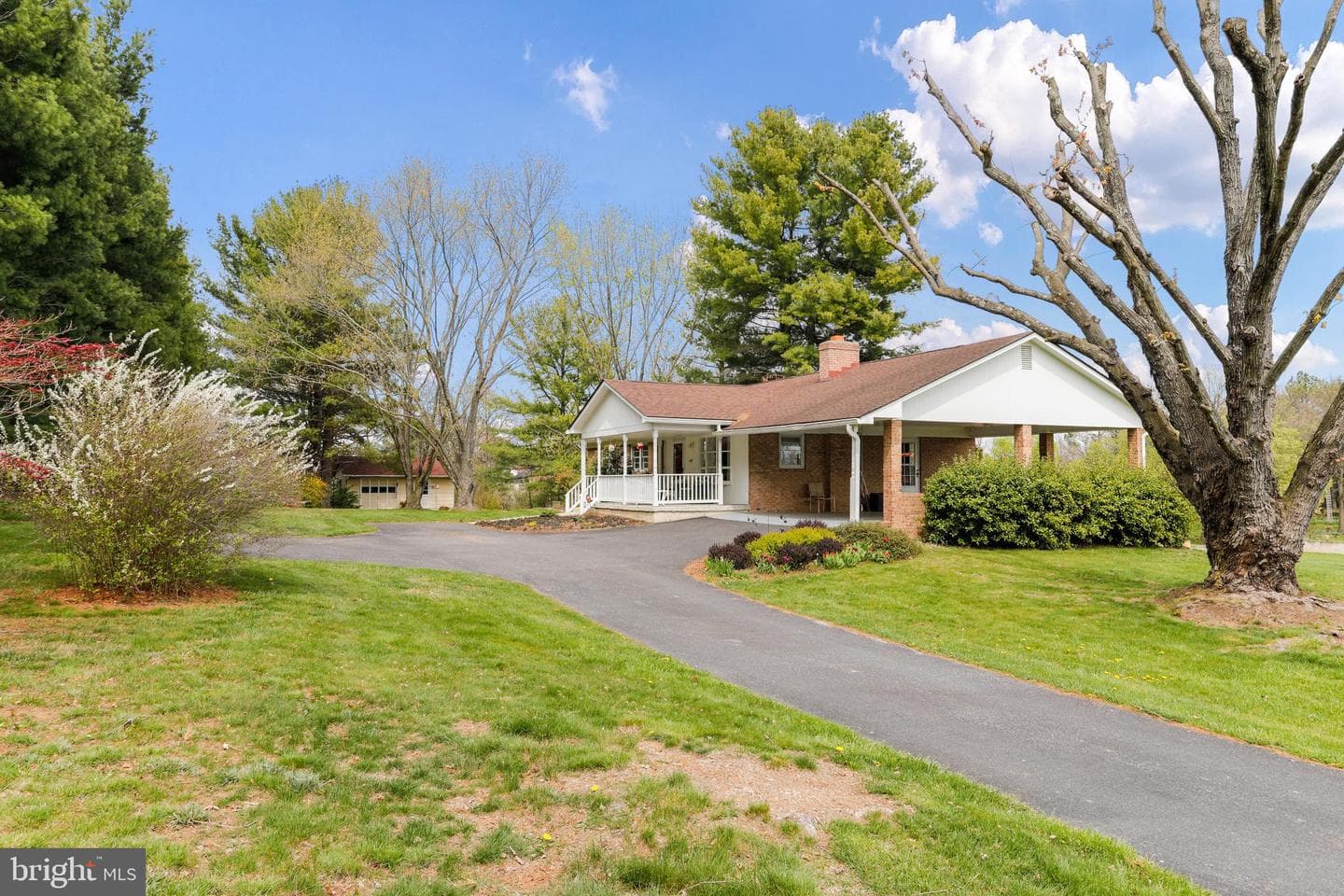 183 Vine Lane photo 31