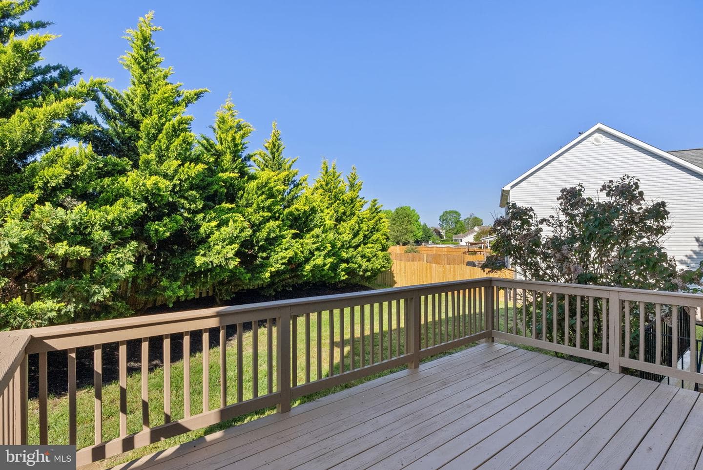 207 Clydesdale Drive photo 48
