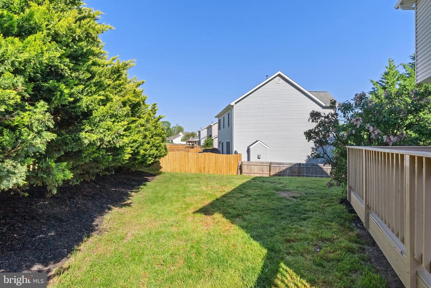 207 Clydesdale Drive photo 49