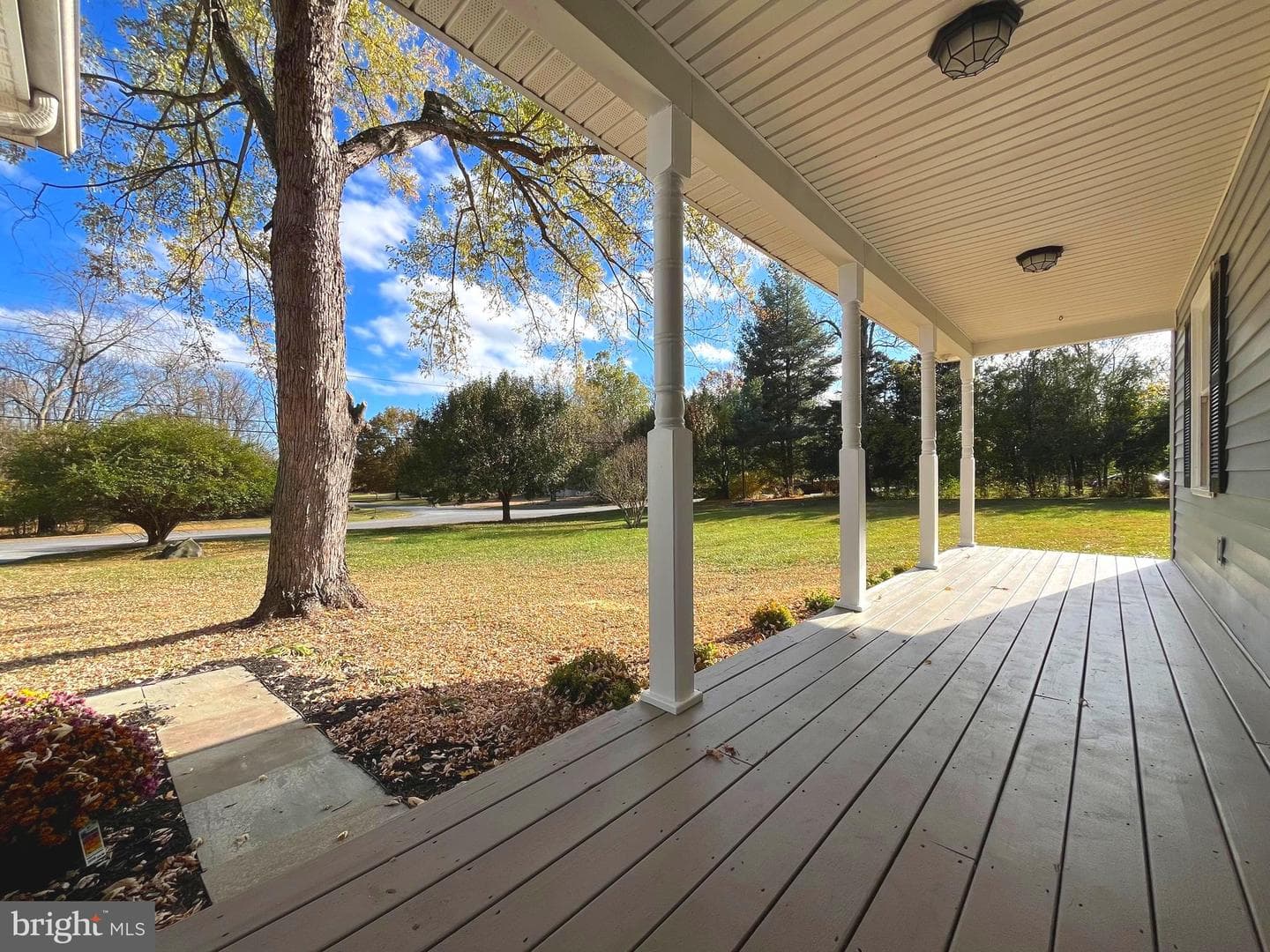 435 Orchard Dale Drive photo 21