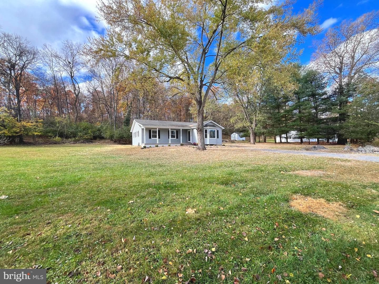435 Orchard Dale Drive photo 3
