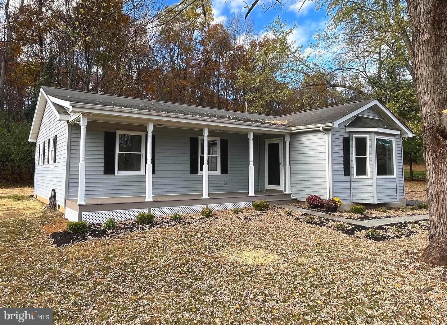 435 Orchard Dale Drive photo 5