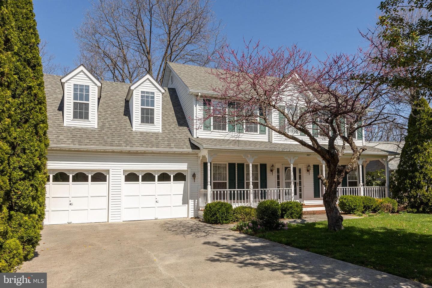 207 Cavalry Drive photo 2