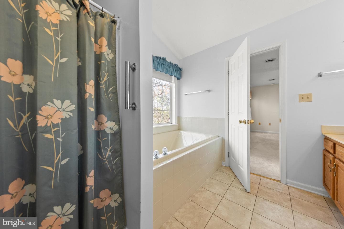 207 Cavalry Drive photo 25