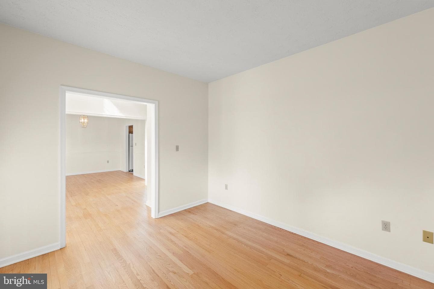 207 Cavalry Drive photo 7