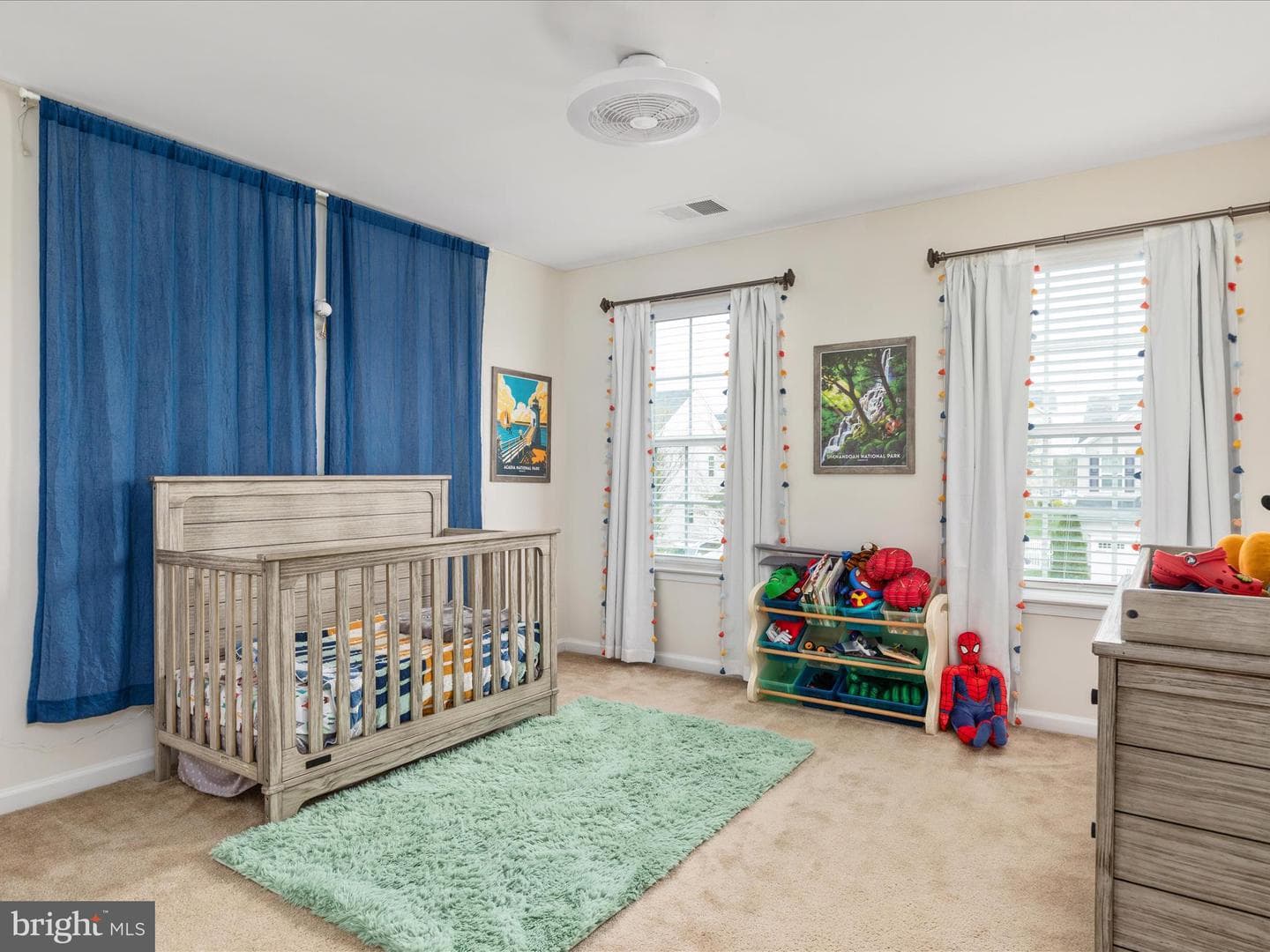 114 Pinwheel Court photo 28