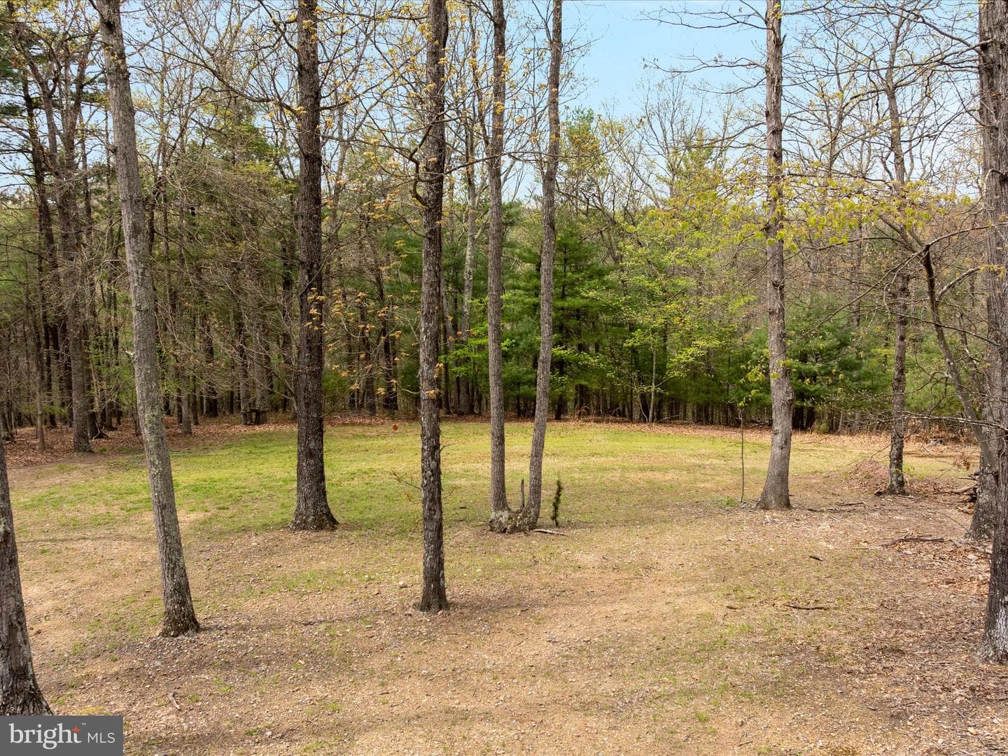 251 Heather Hill Lane photo 59
