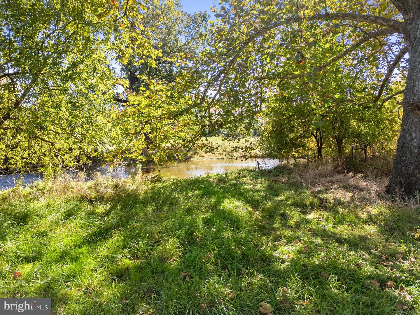 841 Shady Creek Road photo 48