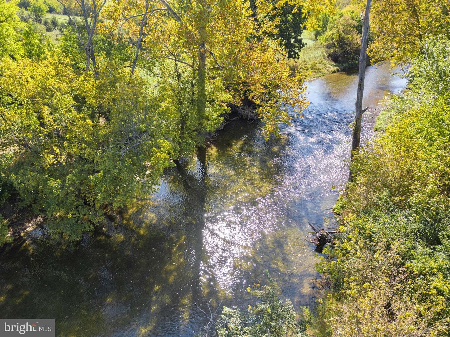 841 Shady Creek Road photo 49