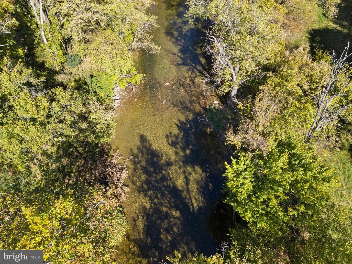 841 Shady Creek Road photo 52