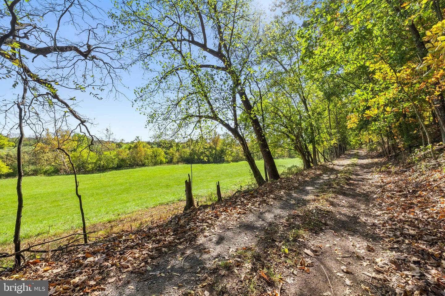 841 Shady Creek Road photo 61