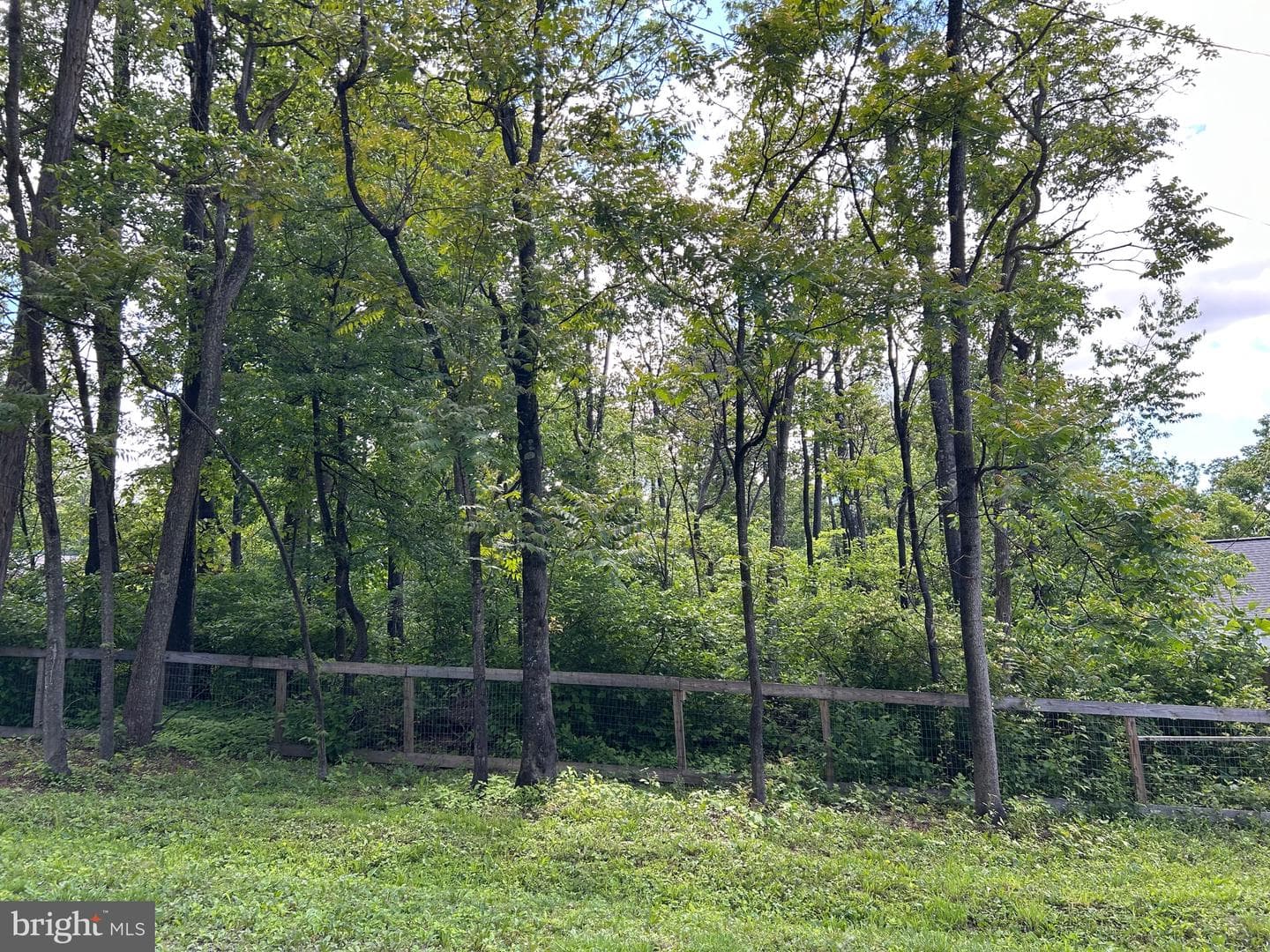 110 Braveheart Trail photo 51