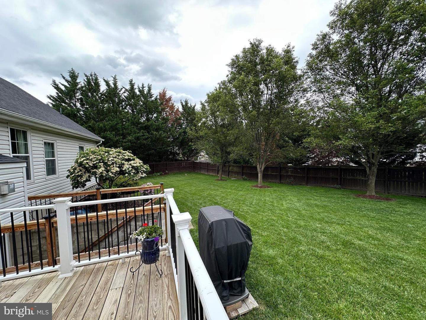 115 Steeplechase Lane photo 8