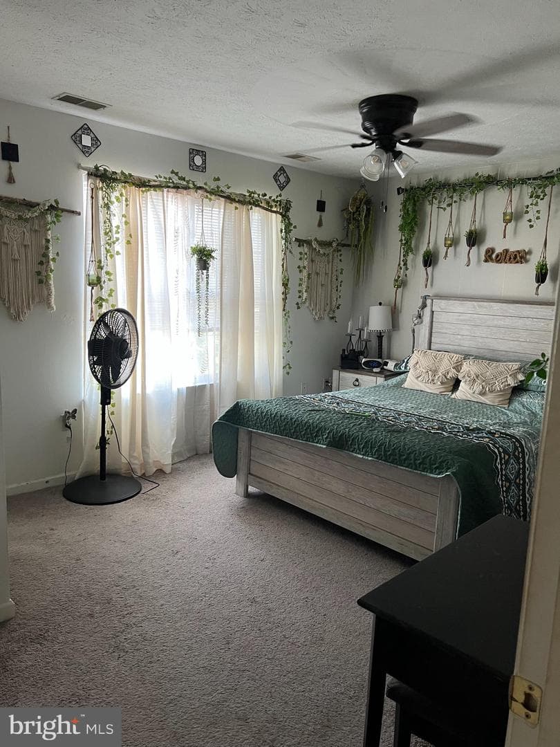 102 Zephyr Lane photo 16