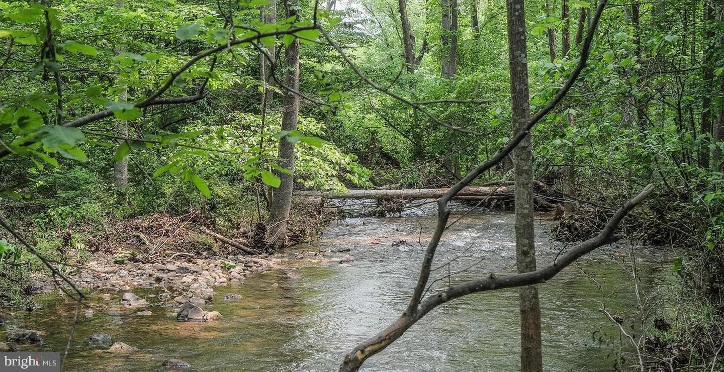 140 Duck Run Lane photo 17