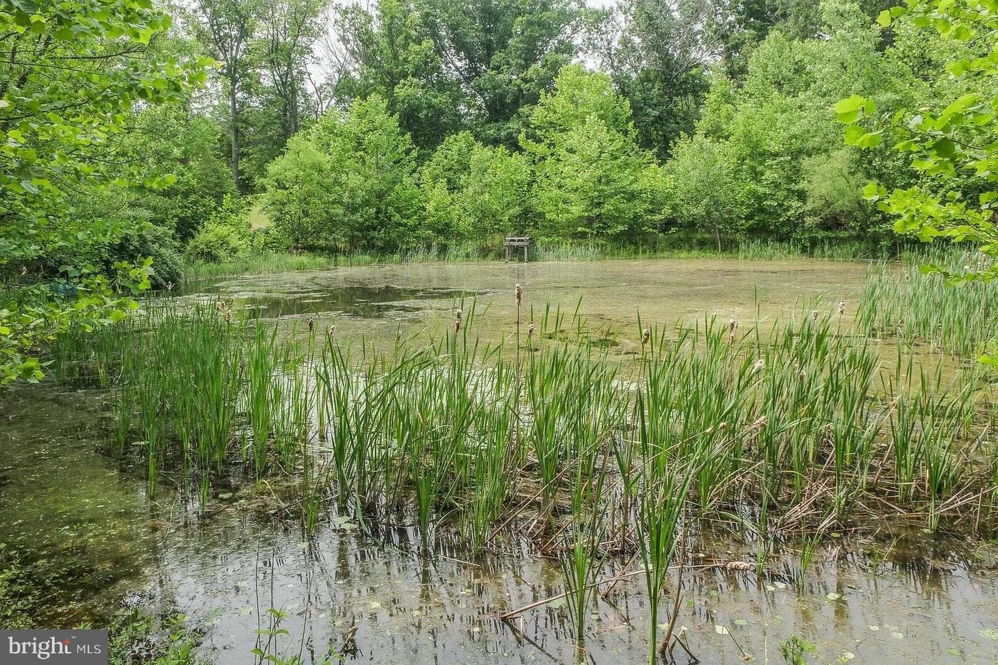 140 Duck Run Lane photo 18