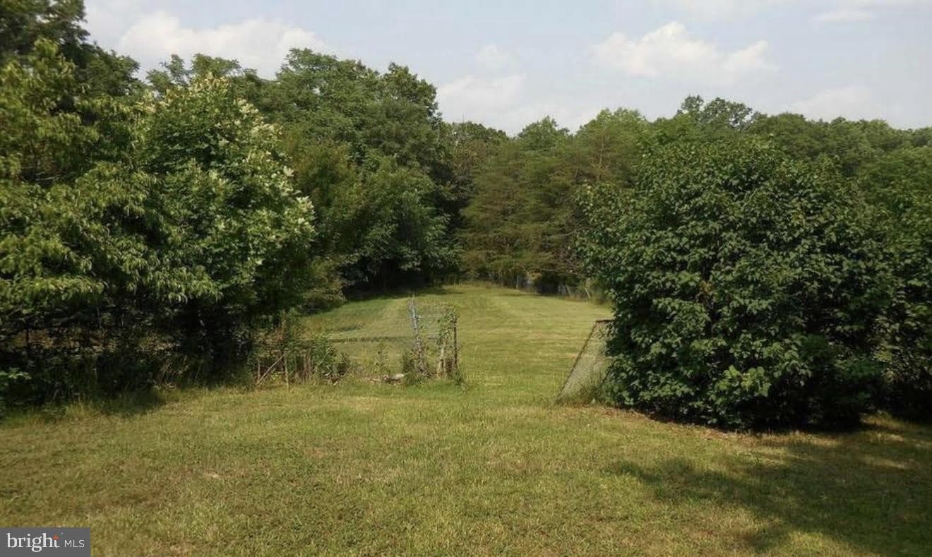 140 Duck Run Lane photo 20
