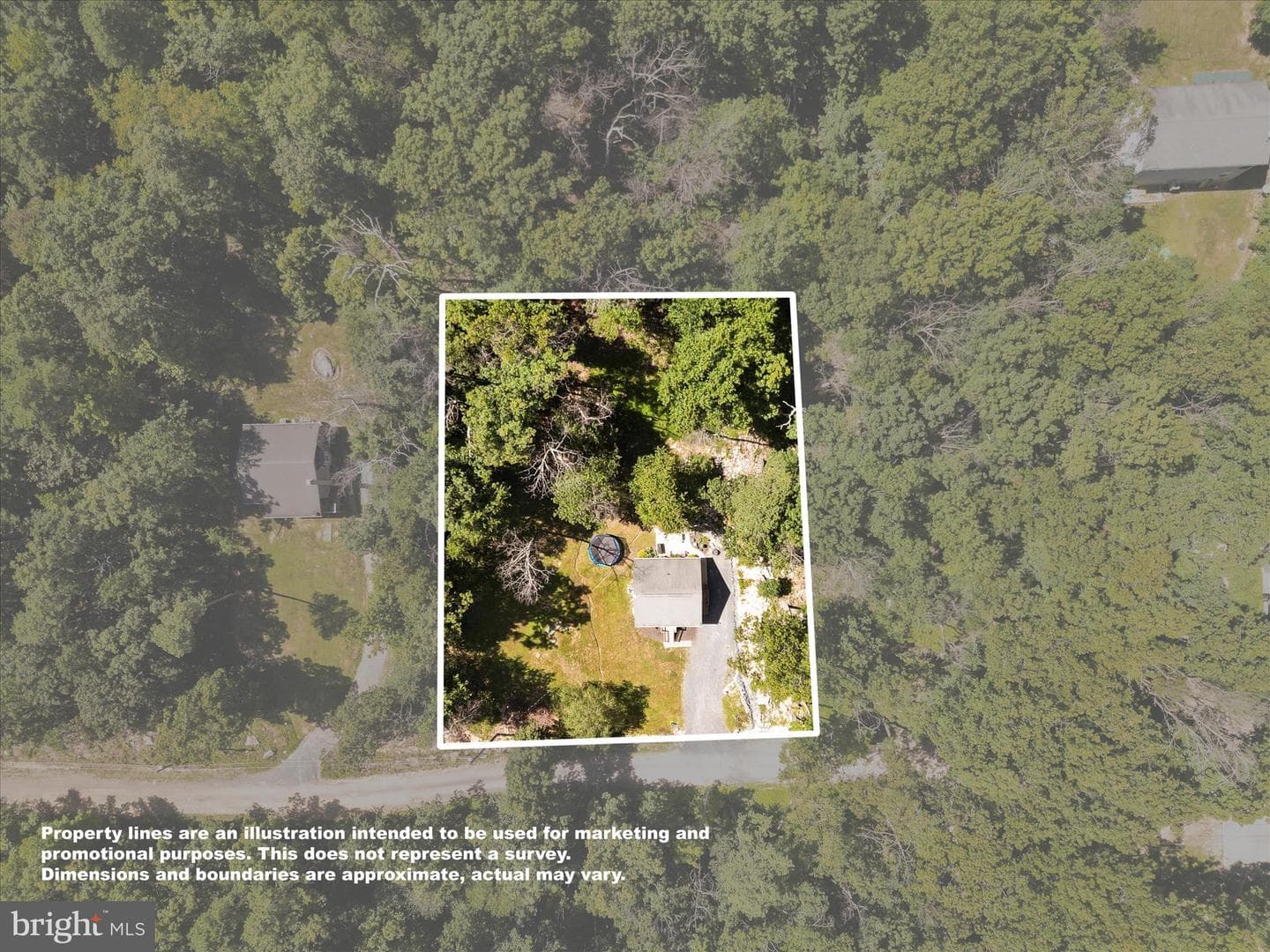 208 Opossum Trail photo 4
