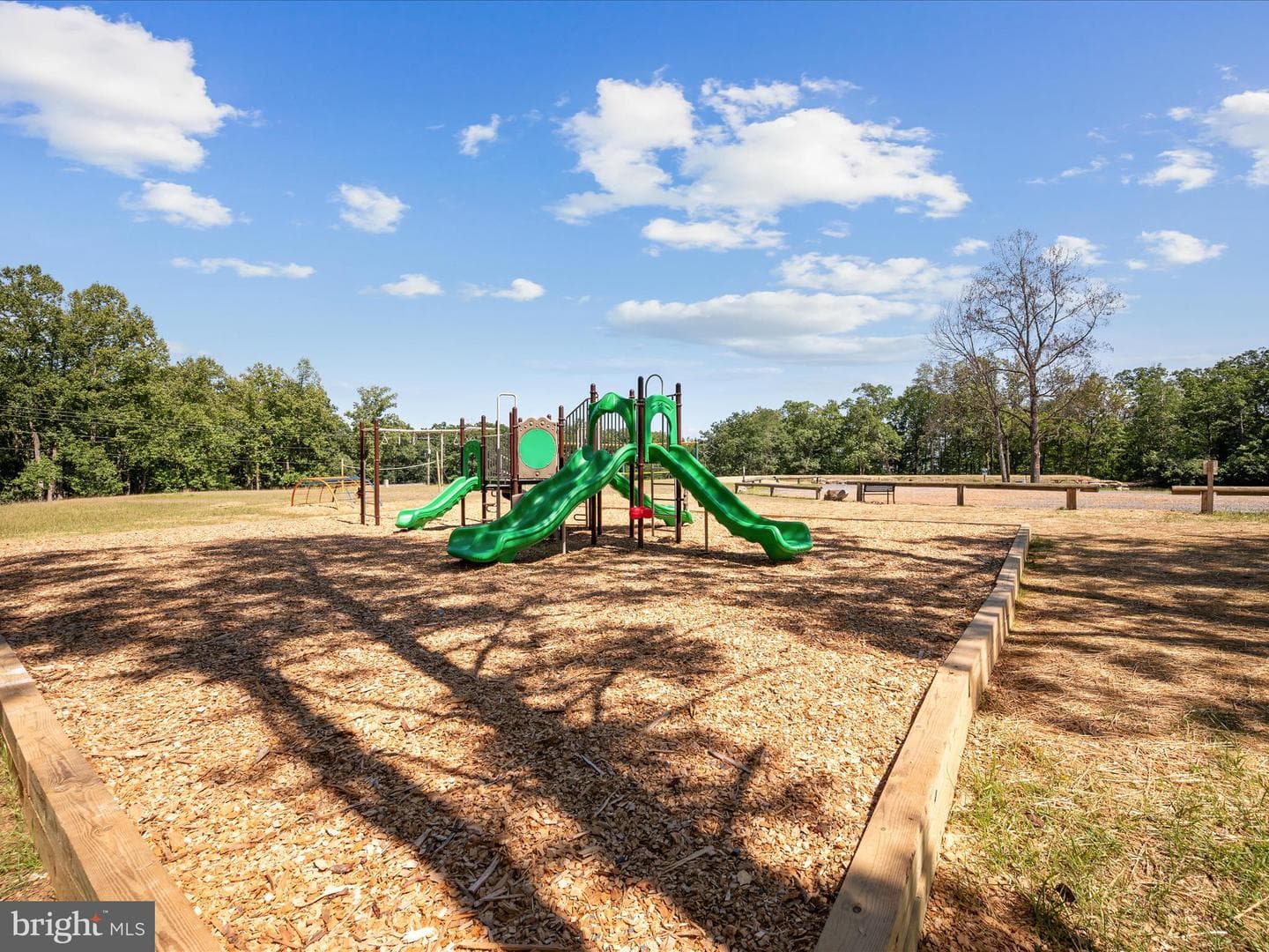 208 Opossum Trail photo 43