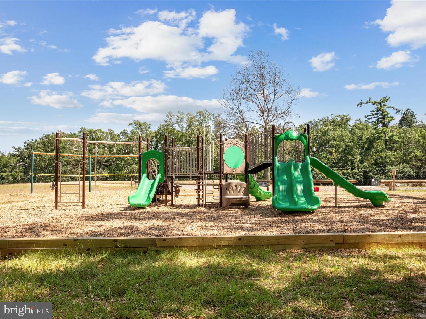 208 Opossum Trail photo 46