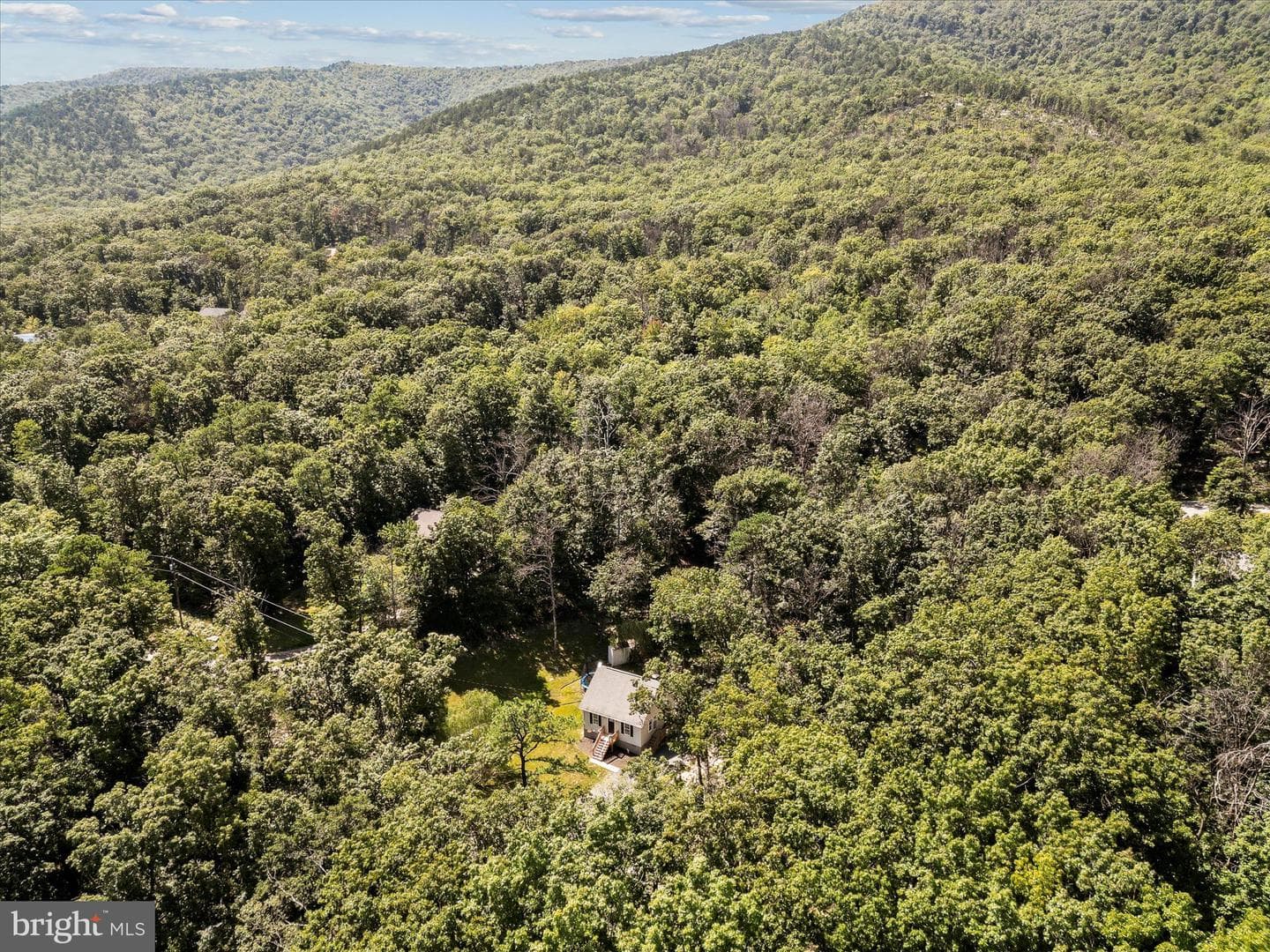 208 Opossum Trail photo 54