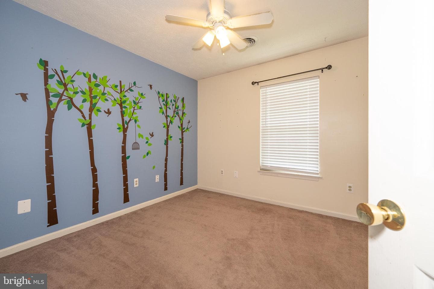 208 Ivory Drive photo 12