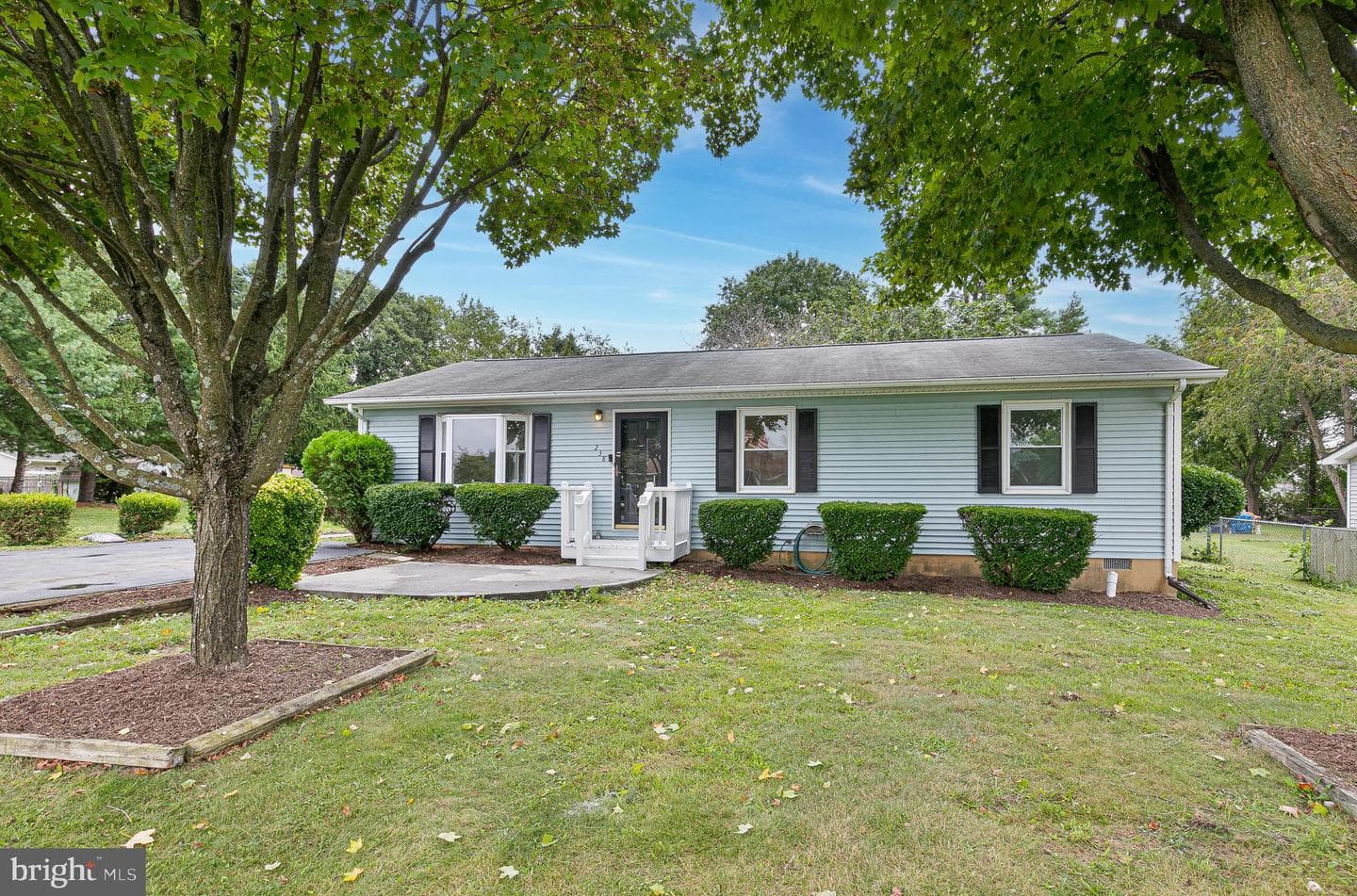 238 Hackberry Drive photo 1
