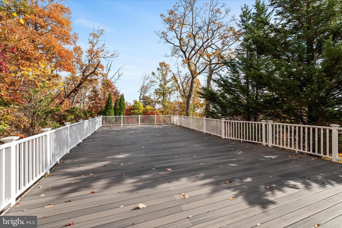 1133 Tomahawk Trl Trail photo 67
