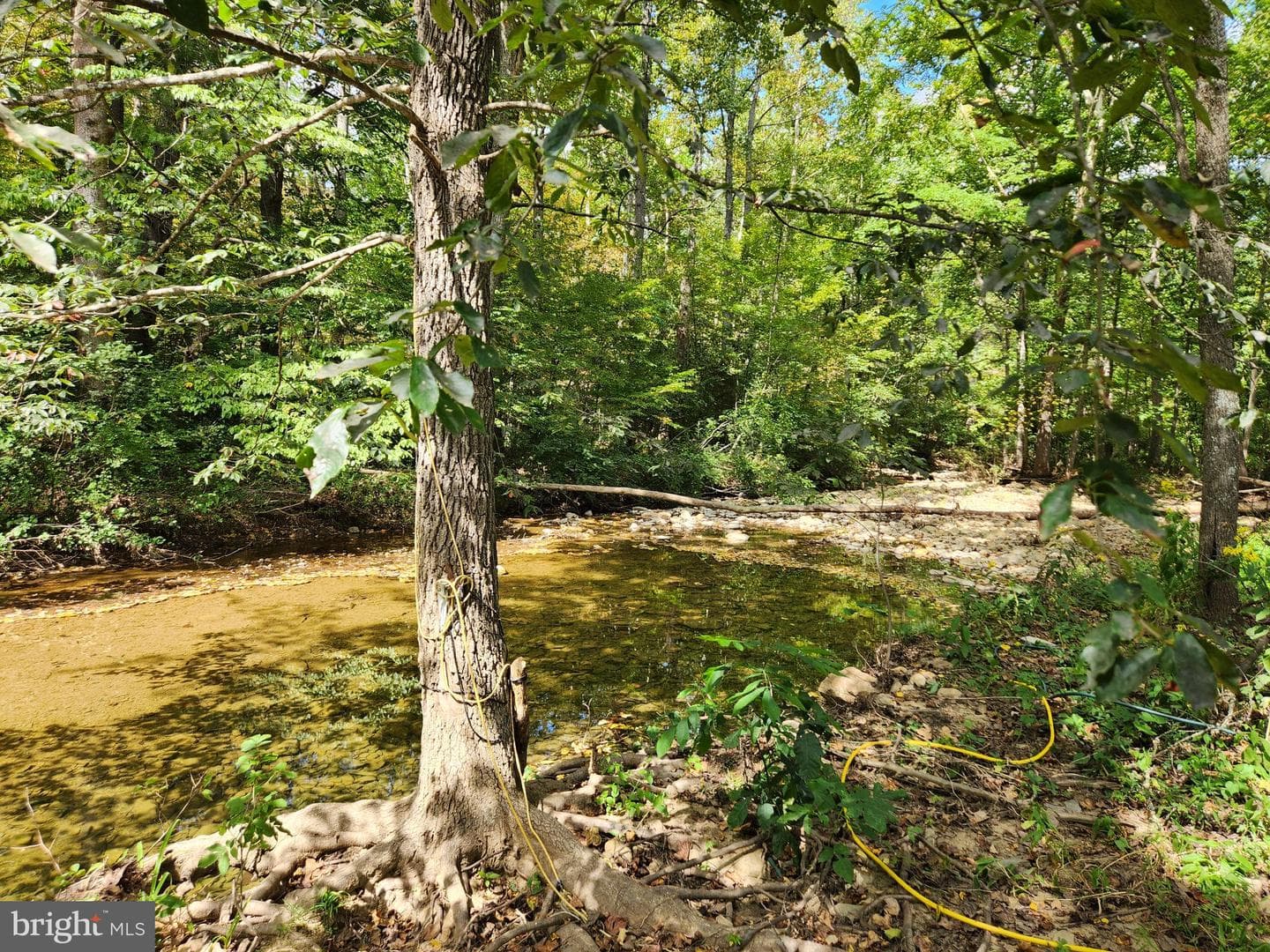2138 Back Creek Road photo 6