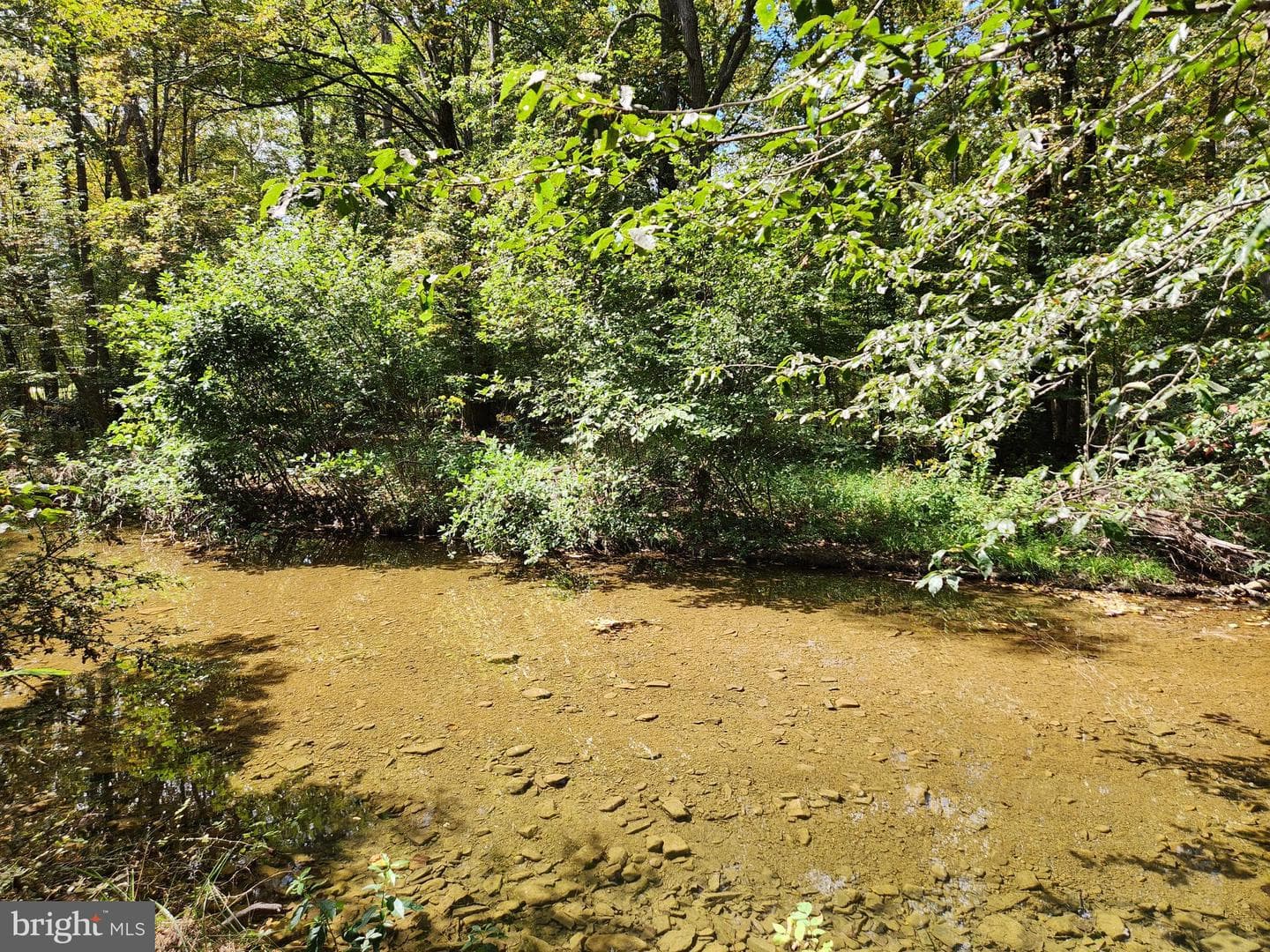 2138 Back Creek Road photo 9