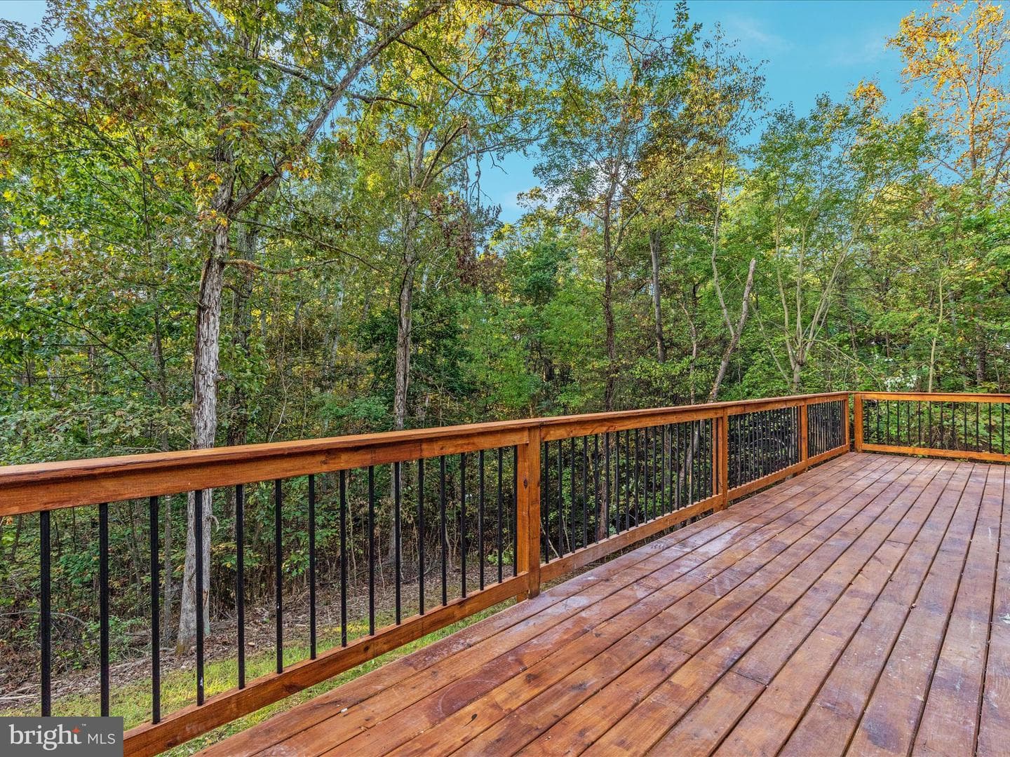 210 Zeiger Drive photo 22