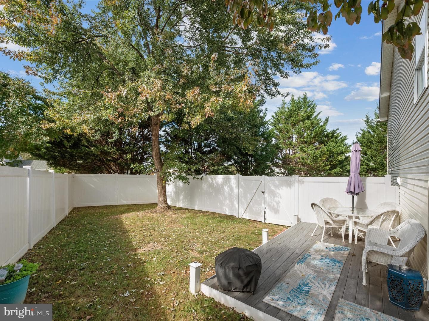 300 Lilys Way photo 32