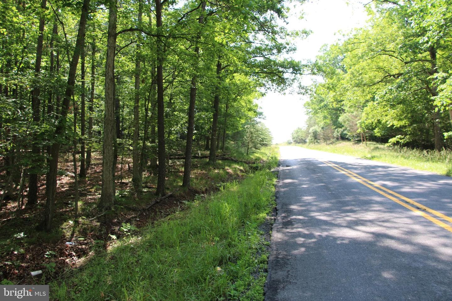 859 Brush Creek photo 12