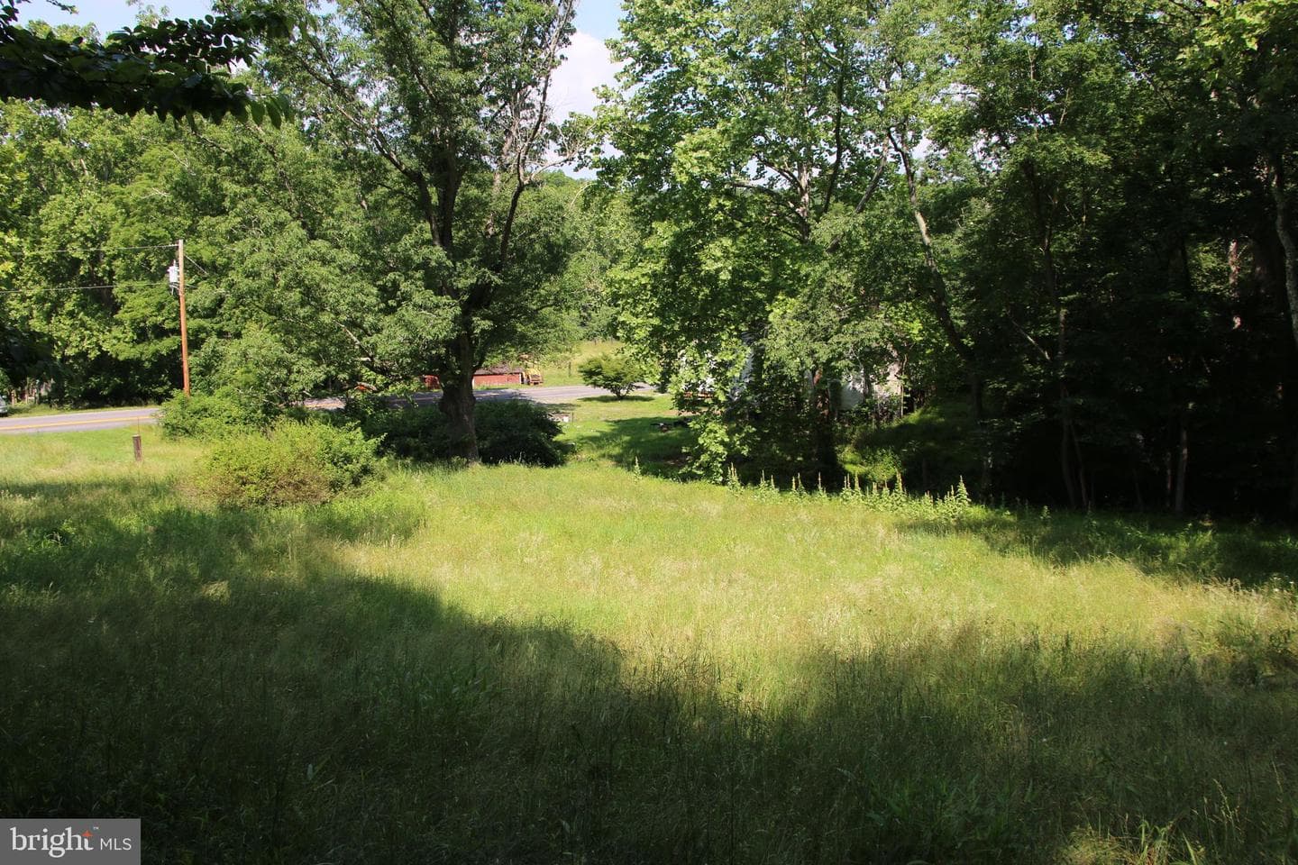 859 Brush Creek photo 16