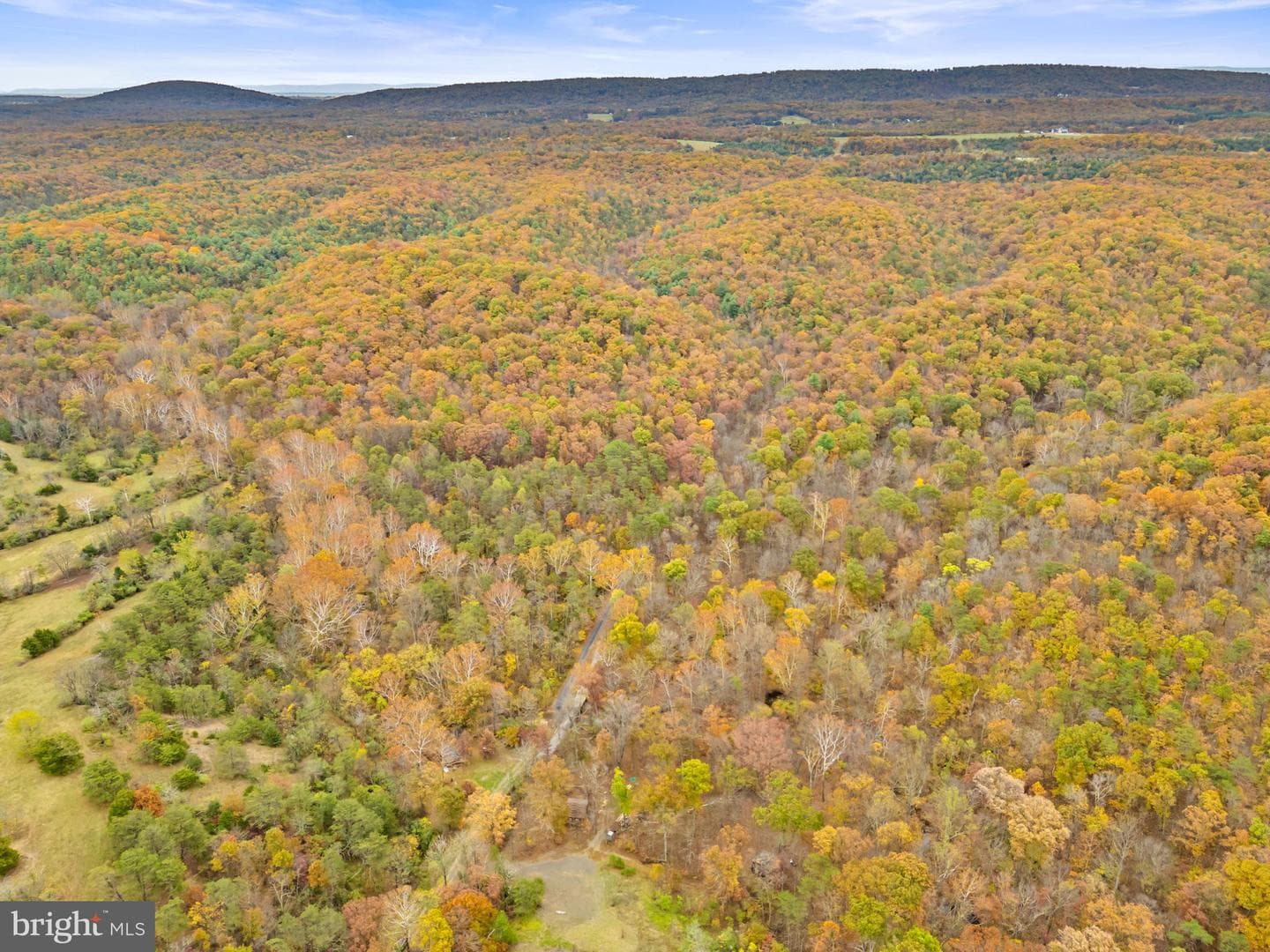 1631 Back Mountain Road photo 83
