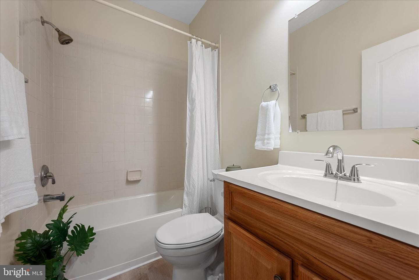 231 Spanish Oak photo 28