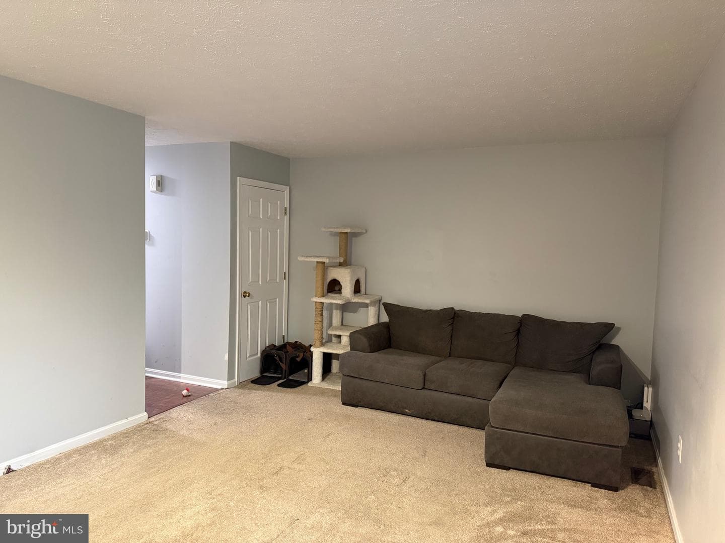 345 Surrey Club Lane photo 9