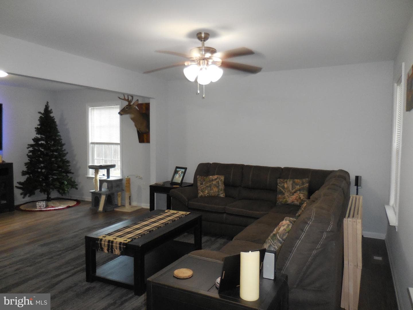 313 Beaver Trail photo 12