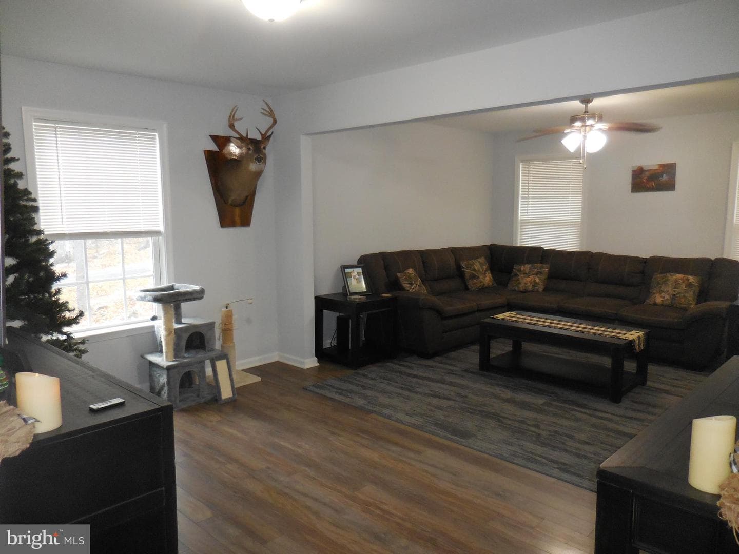 313 Beaver Trail photo 13