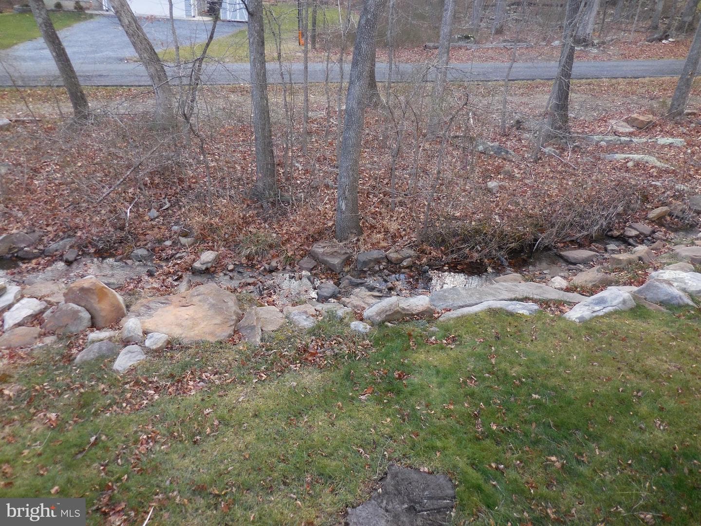 313 Beaver Trail photo 9