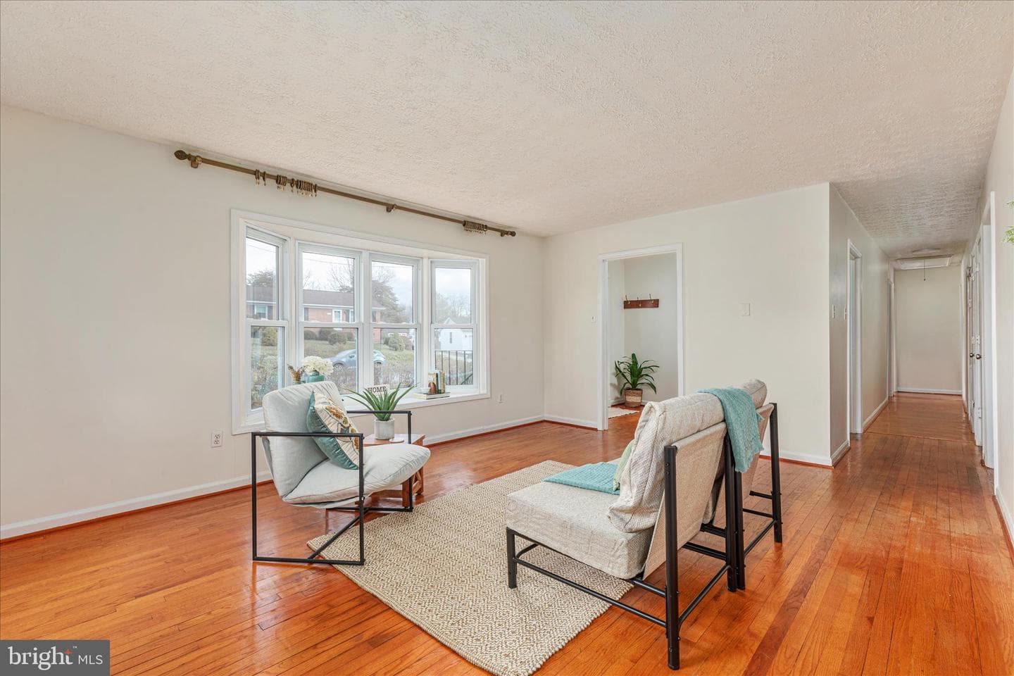 113 Williamson Road photo 10
